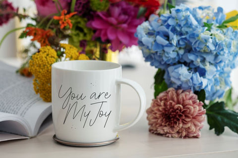 Shinymotion Font Allouse.Studio 