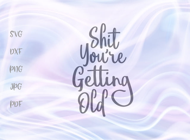 Shit You're Getting Old SVG, PNG, DXF, PDF, JPG SVG Digitals by Hanna 