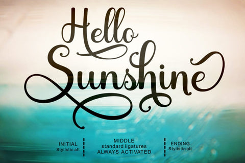 Shocking Script Font Suza Studio 