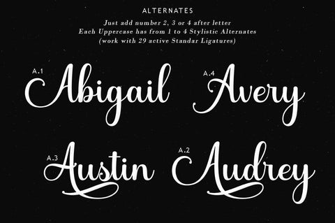 Shocking Script Font Suza Studio 