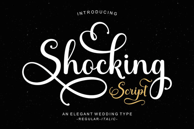 Shocking Script Font Suza Studio 