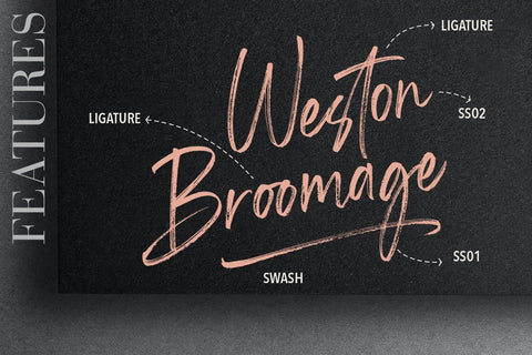 Shutterland Handbrush Script Font Creatype Studio 