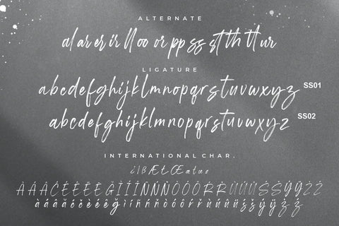 Shutterland Handbrush Script Font Creatype Studio 