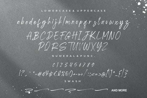 Shutterland Handbrush Script Font Creatype Studio 