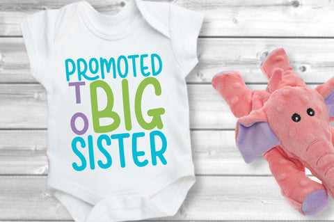 Sibling Announcement SVG Bundle SVG Designangry 