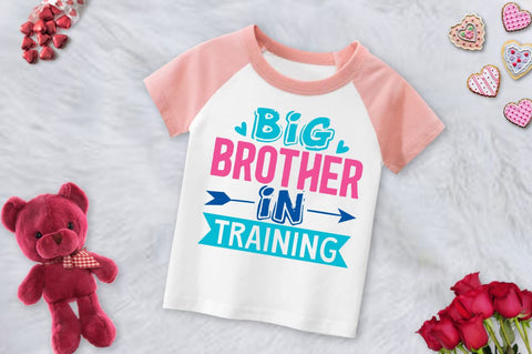 Sibling New Baby SVG Bundle SVG Designangry 