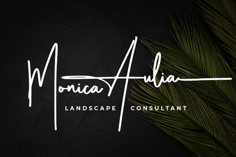 Signatria Font Abo Daniel Studio 