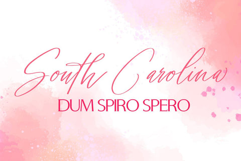 Signature Archive - Serif and script font duo Font Freeling Design House 