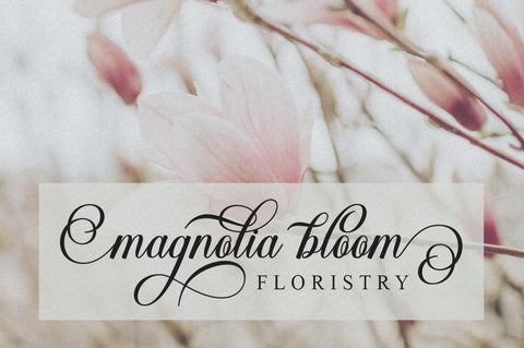 Silentha Font gatype 