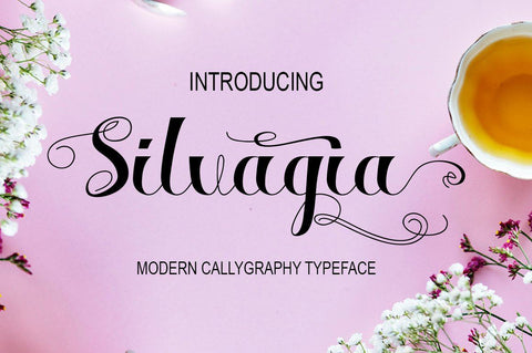 Silvagia Font marwah store 