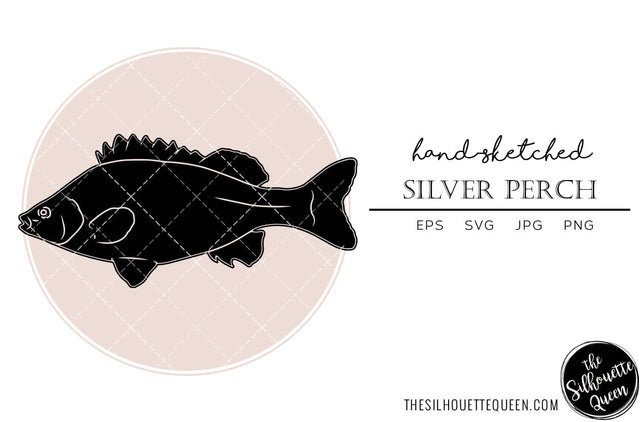 Silver Perch Hand sketched, hand drawn vector clipart SVG Loveleen Kaur 