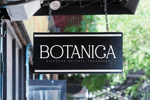 Silvera Peach Typeface Font Storytype Studio 