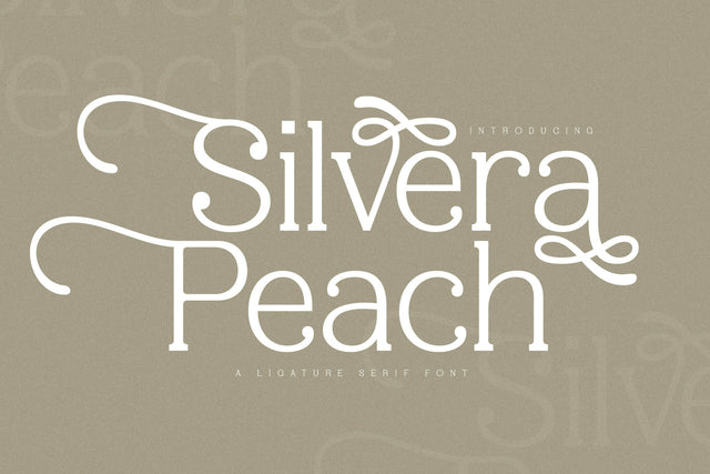 Silvera Peach Typeface Font Storytype Studio 