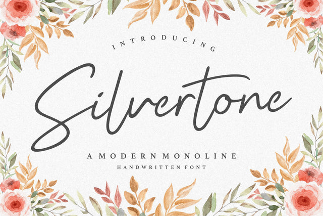 Silvertone Modern Monoline Handwritten Font Font Balpirick 
