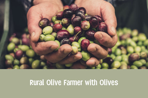 Simply Olive - a Fancy Casual Font Font nhfonts 