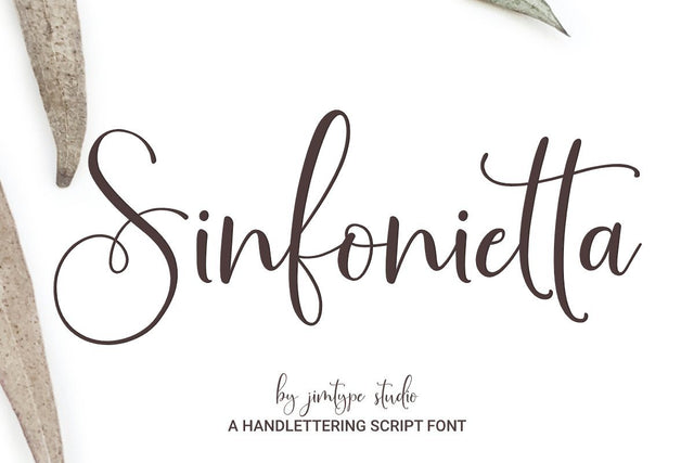 Sinfonietta | Modern Script Font Jimtype Studio 