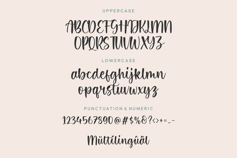 Singlesky Modern Handwritten Script Font Font Balpirick 