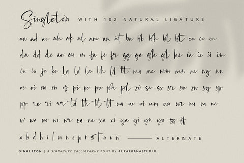 Singleton - Signature Font Font Alpaprana Studio 