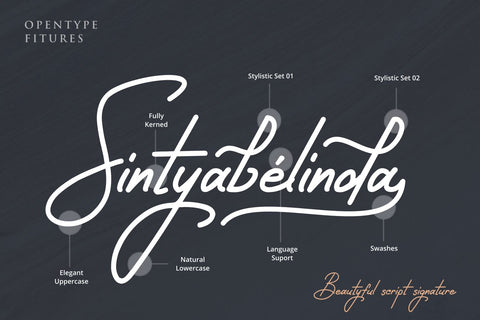 Sintyabelinda Font Zeenesia Std 