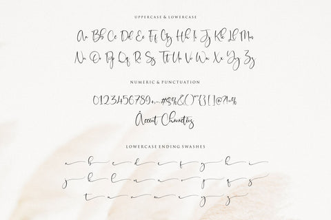 Sisterli is a Modern Calligraphy Font Font Balpirick 