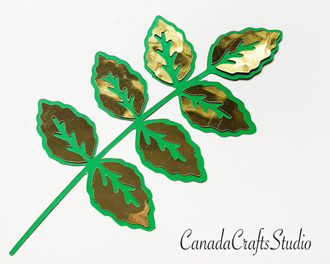 Skeleton Leaf SVG CanadaCraftsStudio 