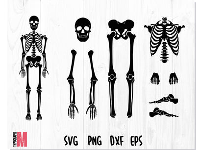 Skeleton Parts SVG | Halloween Bones svg SVG CreativeStudioTM 