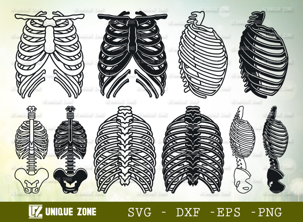 Skeleton Rib Cage SVG Bundle, Human Ribs Svg, Ribcage Svg, Human Bones ...