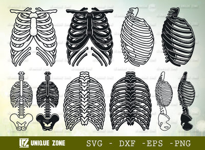 Skeleton Rib Cage SVG Bundle, Human Ribs Svg, Ribcage Svg, Human Bones Svg, Skeleton Svg, Skeleton Bones Svg, Horror Svg, Bones Svg SVG Unique Zone 