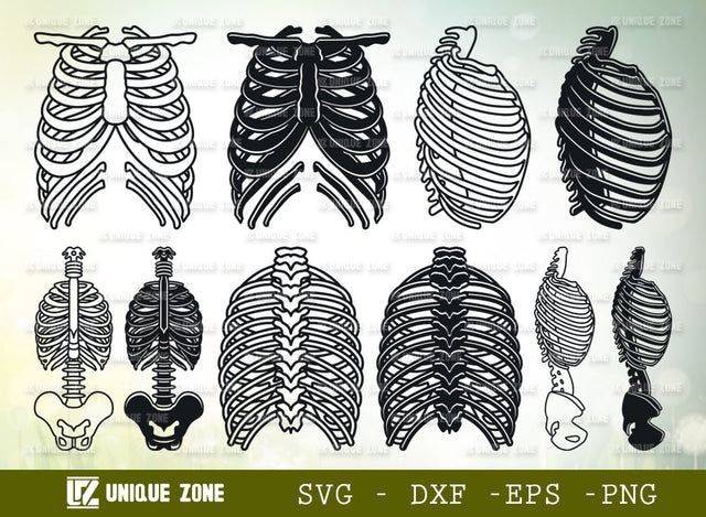 Skeleton Rib Cage SVG Bundle, Human Ribs Svg, Ribcage Svg, Human Bones Svg, Skeleton Svg, Skeleton Bones Svg, Horror Svg, Bones Svg SVG Unique Zone 