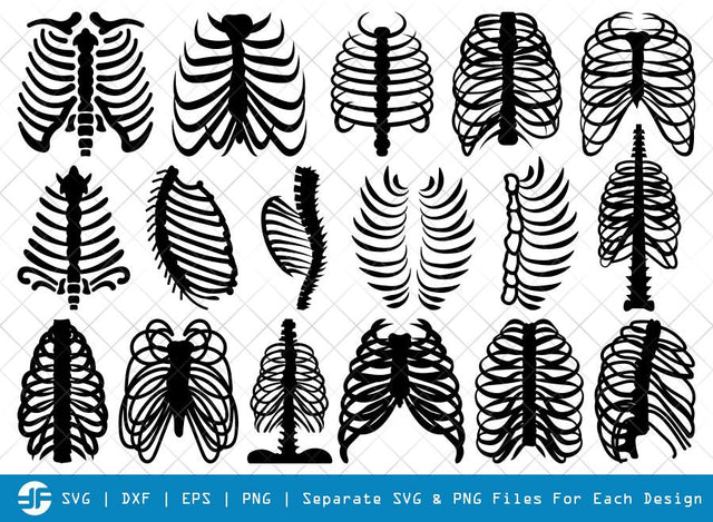 Skeleton Rib Cage SVG Cut Files | Rib Cage Silhouette SVG ETC Craft 