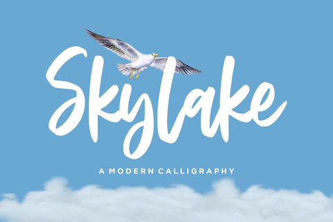 Skylake Modern Calligraphy Font Font Balpirick 