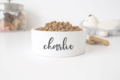 Skylight Elegant Brush Script Font Blush Font Co. 