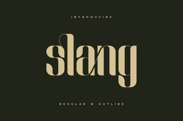 Slang - Ligature Font Font VPcreativeshop 