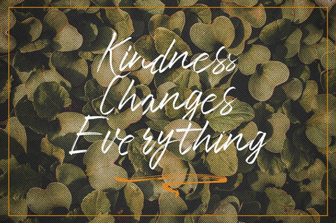 Slimpick - Brush Stroke Font Font Ibey Design 