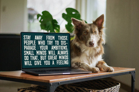 Smith Buck Typeface Font Storytype Studio 