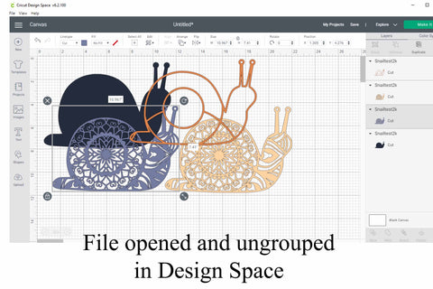 Snail Layered 3D Mandala SVG 3D Paper Digital Honeybee 