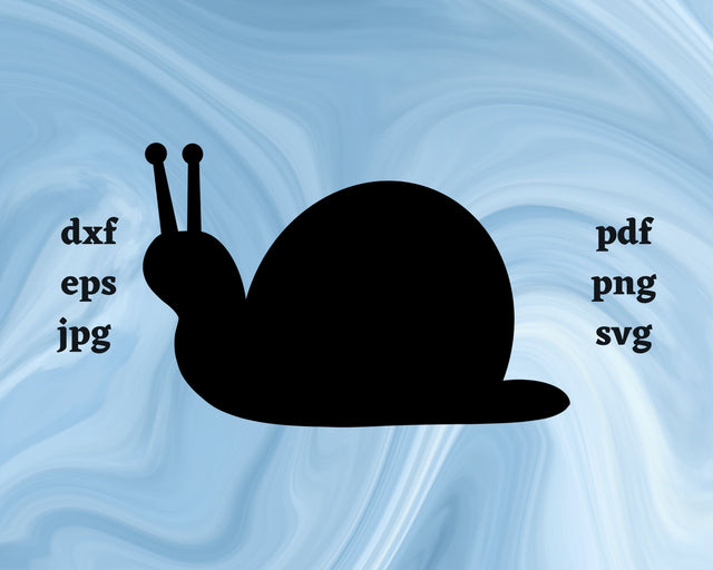 Snail SVG Cut File SVG Northern Light SVG 