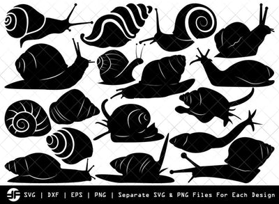 Snail SVG | Sea Snail SVG | Silhouette Bundle | SVG Cut File SVG ETC Craft 