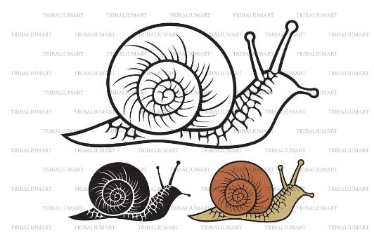 Snail SVG TribaliumArtSF 
