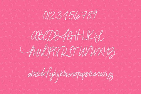 Snarky Flamingo Font Kitaleigh 