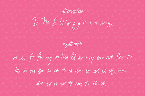 Snarky Flamingo Font Kitaleigh 