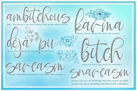 Snarky Sarcastic Words Definition Bundle SVG Files for Cricut Silhouette - Dxf Eps Pdf Png Included SVG SVGcraze 