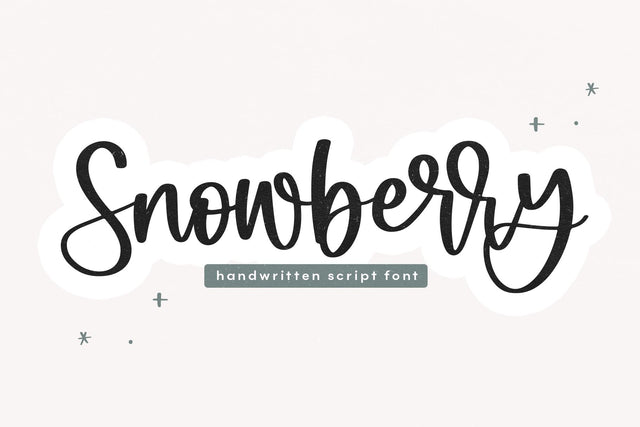 Snowberry - Bouncy Handwritten Script Font Font KA Designs 