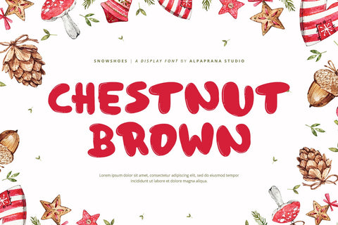 Snowshoes - Playful Display Font Font Alpaprana Studio 