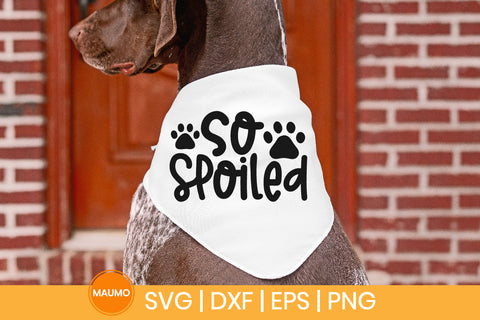 So spoiled | Dog bandana svg quote SVG Maumo Designs 