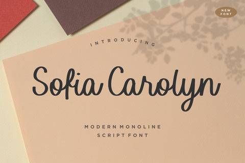 Sofia Carolyn Modern Monoline Script Font Font Balpirick 