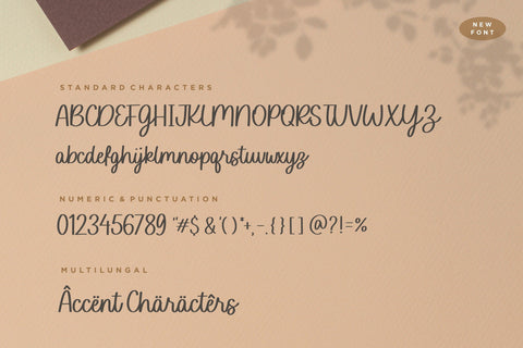 Sofia Carolyn Modern Monoline Script Font Font Balpirick 