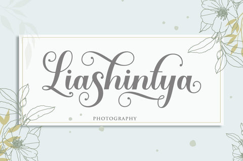 Solidaritas Script Font Rastype 