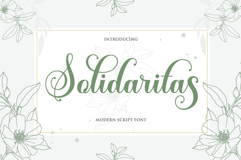 Solidaritas Script Font Rastype 
