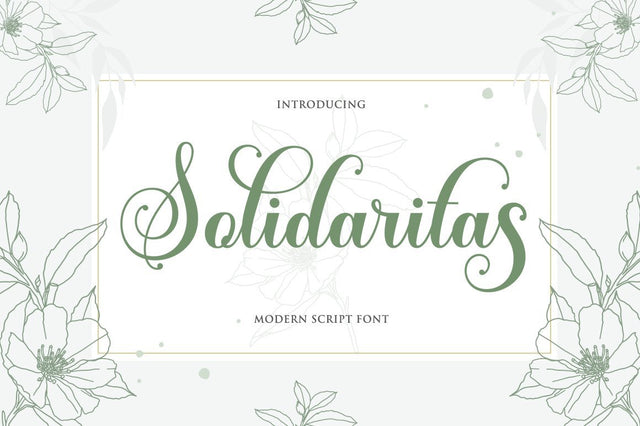 Solidaritas Script Font Rastype 